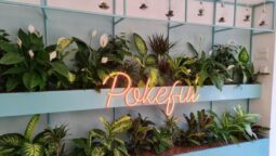 Pokeful, bistrou în stil Hawaiian în Piața Dorobanților