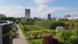 Facultatea de Agronomie