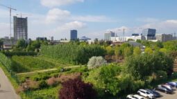 Facultatea de Agronomie