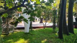 TUYA Food for Sharing, restaurant in Parchul Herastrau