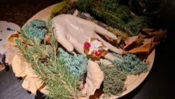 Meniul Pădurea Mociar la Kane