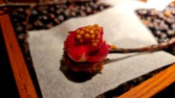 Meniul Pădurea Mociar la Kane