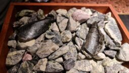 Meniul Pădurea Mociar la Kane