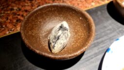 Meniul Pădurea Mociar la Kane