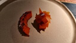 Meniul Pădurea Mociar la Kane