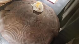 Meniul Pădurea Mociar la Kane