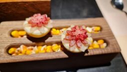 Meniul Pădurea Mociar la Kane