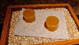 Meniul Pădurea Mociar la Kane