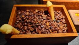 Meniul Pădurea Mociar la Kane