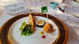 O cina coreeana memorabila CJ bibigo