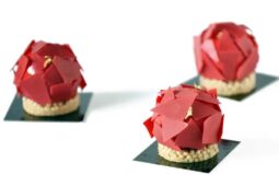 Chef Nicoleta Labunet Masterclass Entremet