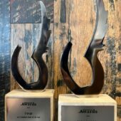 Business Review Awards