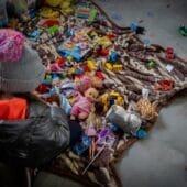 Cina caritabila Noeme - Copyright Bogdan Dinca