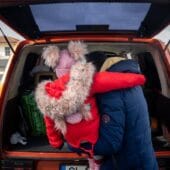 Cina caritabila Noeme - Copyright Bogdan Dinca