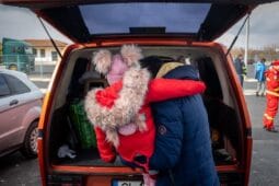 Cina caritabila Noeme - Copyright Bogdan Dinca