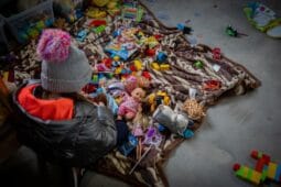 Cina caritabila Noeme - Copyright Bogdan Dinca