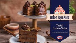 Tortul Camen Sylva