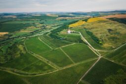 Villa VINEA credit Storyteller Labs