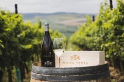 Villa VINEA credit Storyteller Labs