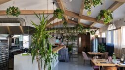 Le Petit Paris, Chef Samuel le Torriellec Bucuresti