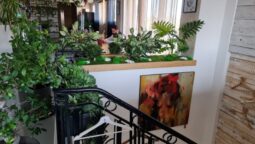 Le Petit Paris, Chef Samuel le Torriellec Bucuresti