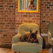 Restaurant Bruto by Chef Foa