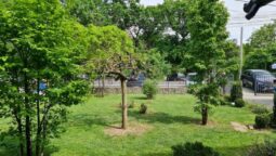 Casa Vanatoreasca Chitila, restaurant popular