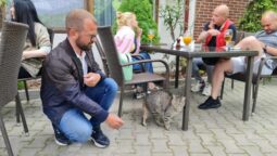 Casa Vanatoreasca Chitila, restaurant popular