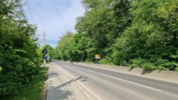 Casa Vanatoreasca Chitila, restaurant popular