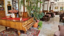 Casa cu Tei Monteoru