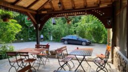 Casa cu Tei Monteoru