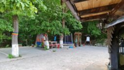 Casa cu Tei Monteoru