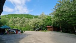 Casa cu Tei Monteoru