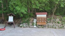 Casa cu Tei Monteoru