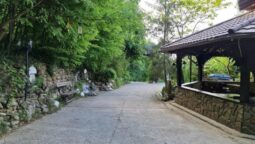 Casa cu Tei Monteoru