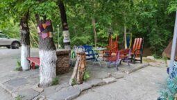 Casa cu Tei Monteoru