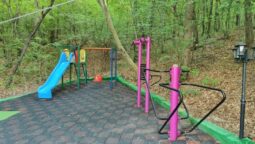 Casa cu Tei Monteoru