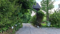 Casa cu Tei Monteoru