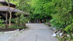 Casa cu Tei Monteoru