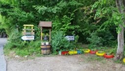 Casa cu Tei Monteoru