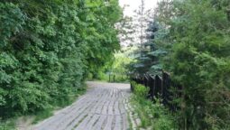 Casa cu Tei Monteoru