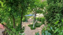 Casa cu Tei Monteoru