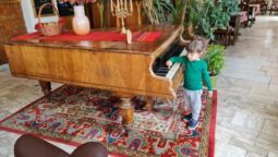 Casa cu Tei Monteoru