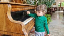 Casa cu Tei Monteoru