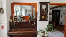 Casa cu Tei Monteoru