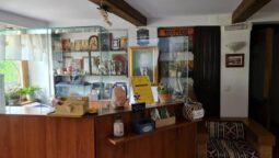 Casa cu Tei Monteoru