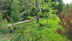 Cetatuia Magura, hotel & restaurant in Buzau