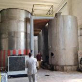 Crama veche de la Statiunea Pietroasa