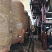 Crama veche de la Statiunea Pietroasa