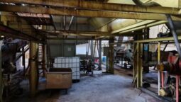 Crama veche de la Statiunea Pietroasa